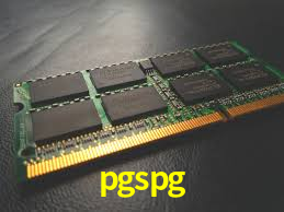 pgspg